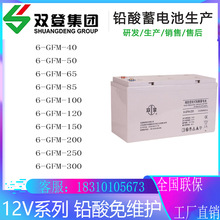 双登蓄电池6-GFM-100 12V100AH 12V65AH12V150AH12V200AH12V120AH