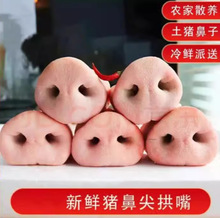顺丰包邮冷冻新鲜猪鼻子5斤带骨猪拱嘴猪鼻梁包邮猪脸肉猪头肉
