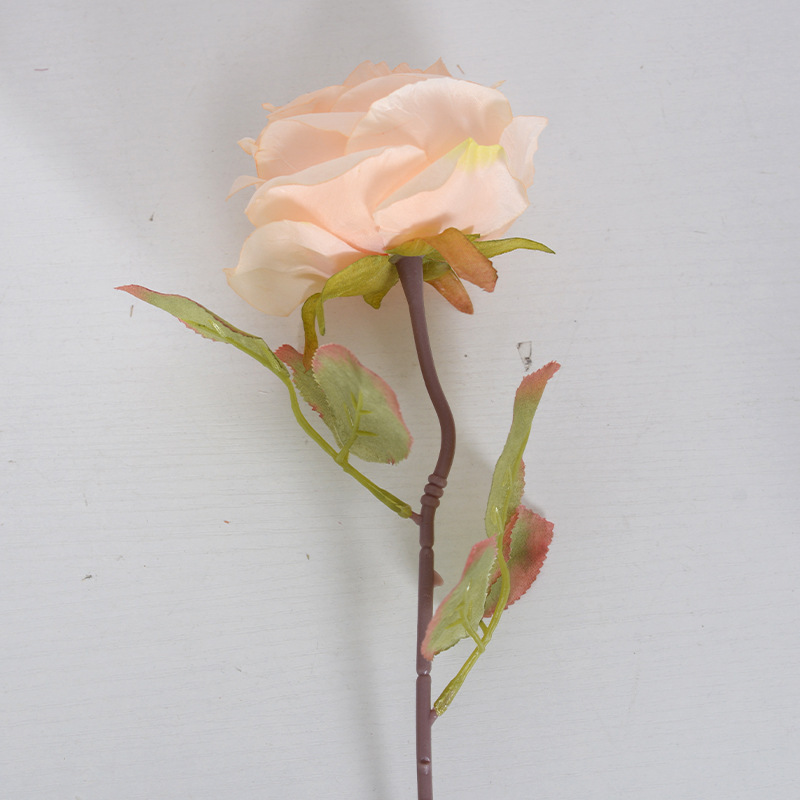 코어 포함 샴페인 10cm