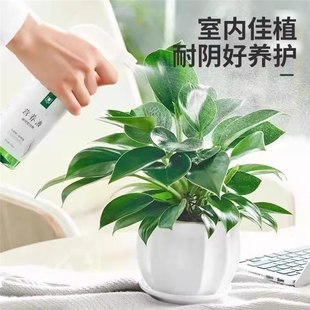 ������ԾGֲ�K��荾G�}�jˮ��ֲ�ﻨ�ܶ����k���҃ȑ��˺��B����