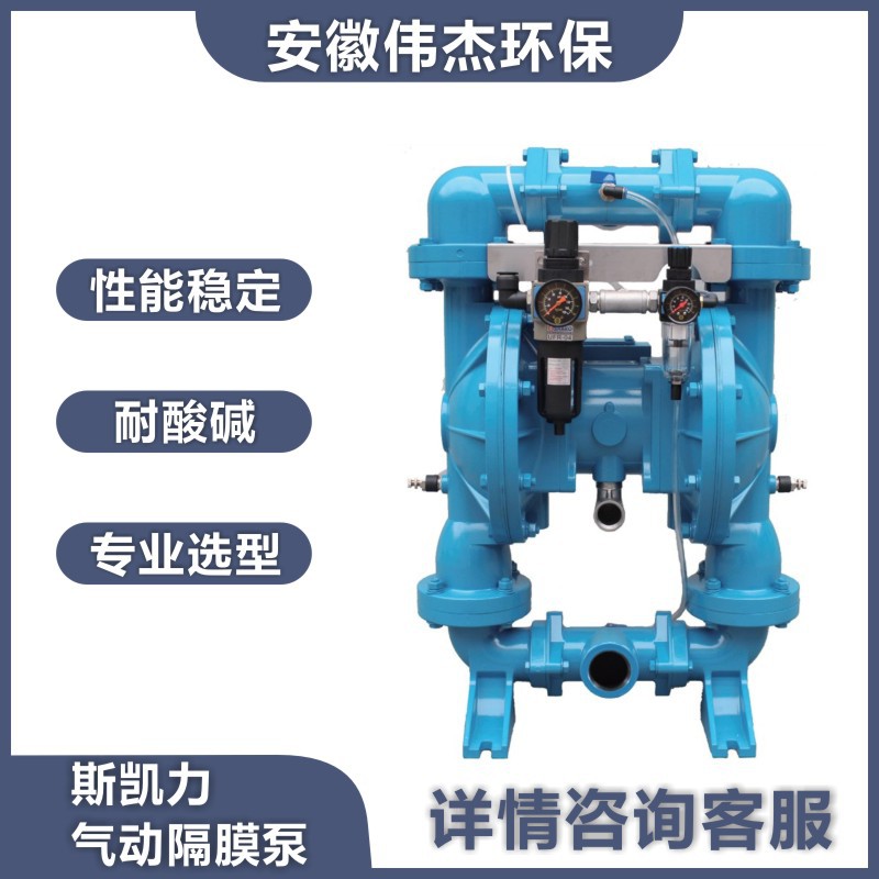 Skylink  斯凯力  PDSK系列粉体泵 新型粉末 输送设备 气动粉体泵
