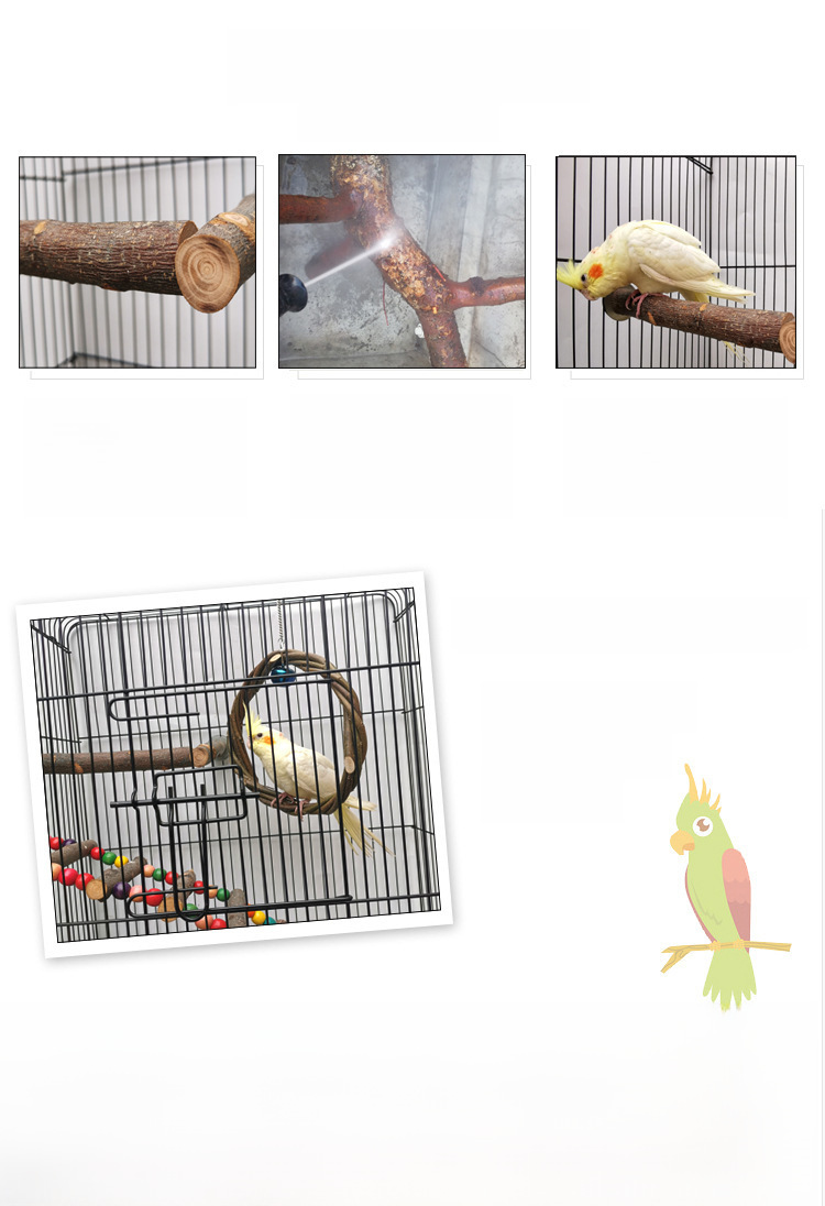 Papageienständer Bild 3