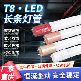 T8灯管1.2米双端50w日光灯管超亮80W长条灯荧光灯家用节能led光管