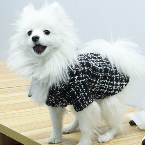 Pet clothes, small scented spring and autumn style, anti-hair loss, cat clothes, Bichon Frise, Corgi, dog clothes, medium-sized dog wholesale.