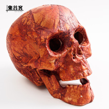 ��ʥ�ڸ�ʬ����ͷ���߰ڼ��������Ҿưɸ��Կֲ�װ�η���ʵ�����