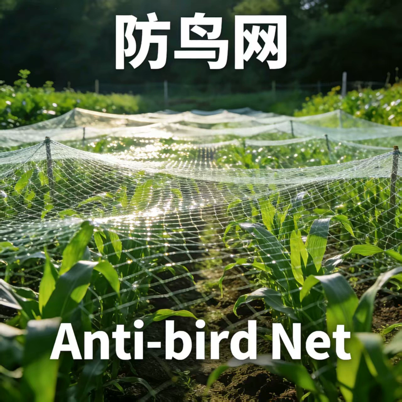 Сетки для защиты от птиц для садов, сельскохозяйственные сетки от птиц, защитные сетки для аэропортов и специализированные сетки для разведения птиц - прямые поставки от производителя.