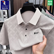 ��ľ�B�ߙn���z����t����ʿ��C���I�̄����e��������POLO�����