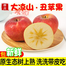 �Ĵ����ɽ���O���t¶ˮ�����r���䮔��10�︻ʿ�����O�����l���]