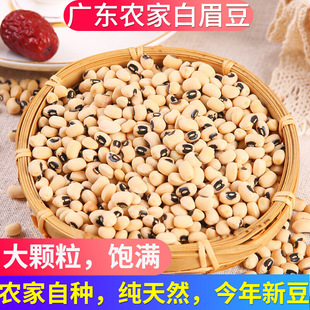 ��ü��500g�V�|�r���ԷN�׸׶��׶�����N���Ҝ����r��؛�ɶ�