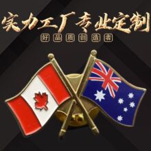 金属徽章定制印刷国旗蝴蝶扣徽章订做不锈钢圆形胸针滴油跨境胸章