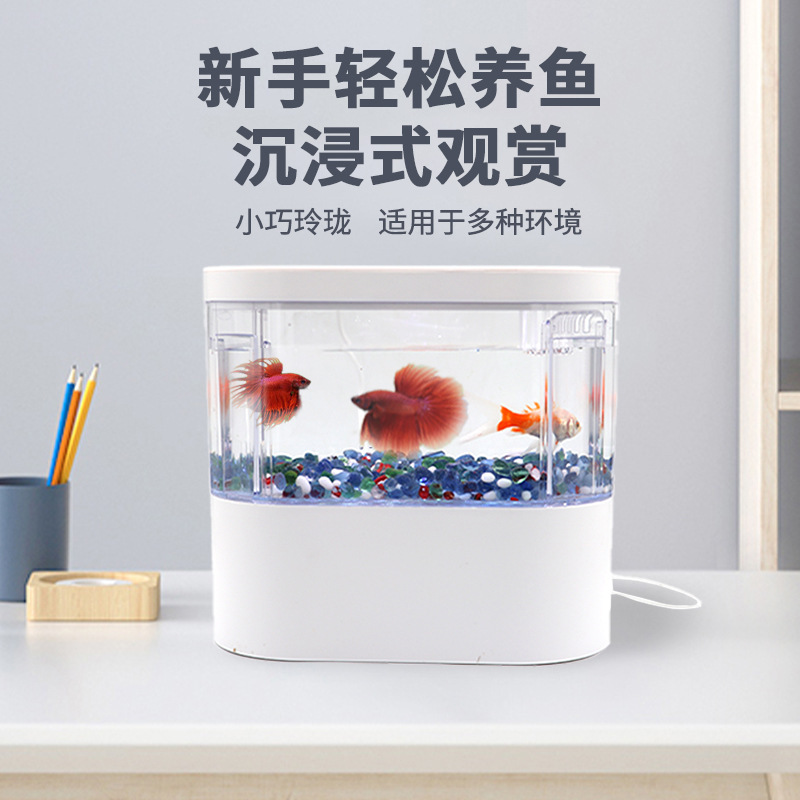 水槽水槽客間小型無換水一体デスクトップ熱帯魚観賞ミクロ生態ミニ水循環|undefined