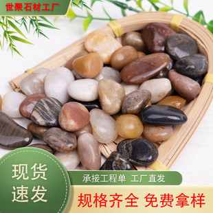 �껨ʯ�·�@ˇ���^ͥԺ�·ʯ�ӈ@����Ȼ�Z��ʯʯ�^�쾰