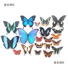 �����˱��̾����x�{�W���̌W�P���P�������׃��@̫��������չ����