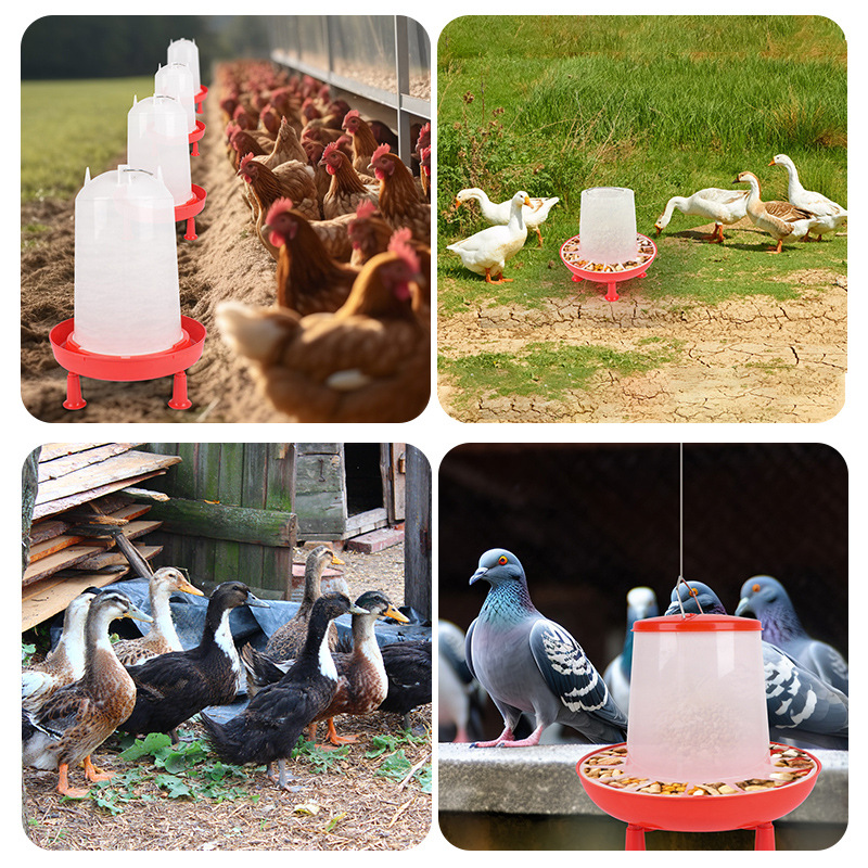 Dispensador de agua potable de pollo alimentador de pollo hervidor de pollo cubeta de alimentación cubo para pollo pato ganso cubo