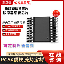 ��������i�Z��оƬIC�����Z�Կ��x ��Ħ�������x��оƬOTP���