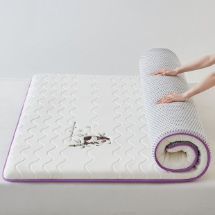 2025 New Class A Special Edition Latex Memory Foam Soybean Mattress Cover-Style 1
