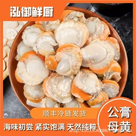 贝类;腌制水产品