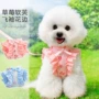背心式幼犬狗狗狗绳子