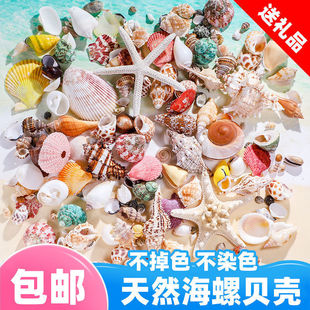 ��Ȼؐ������ ����ɺ���ֹ�diy����~���쾰�b�ؐ�~�İ��]���l