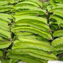 ���ⶹ�N�Ӷ����ĽǶ��N���̨�߲�����Gֲ���ⶹ�N���^�p��N��