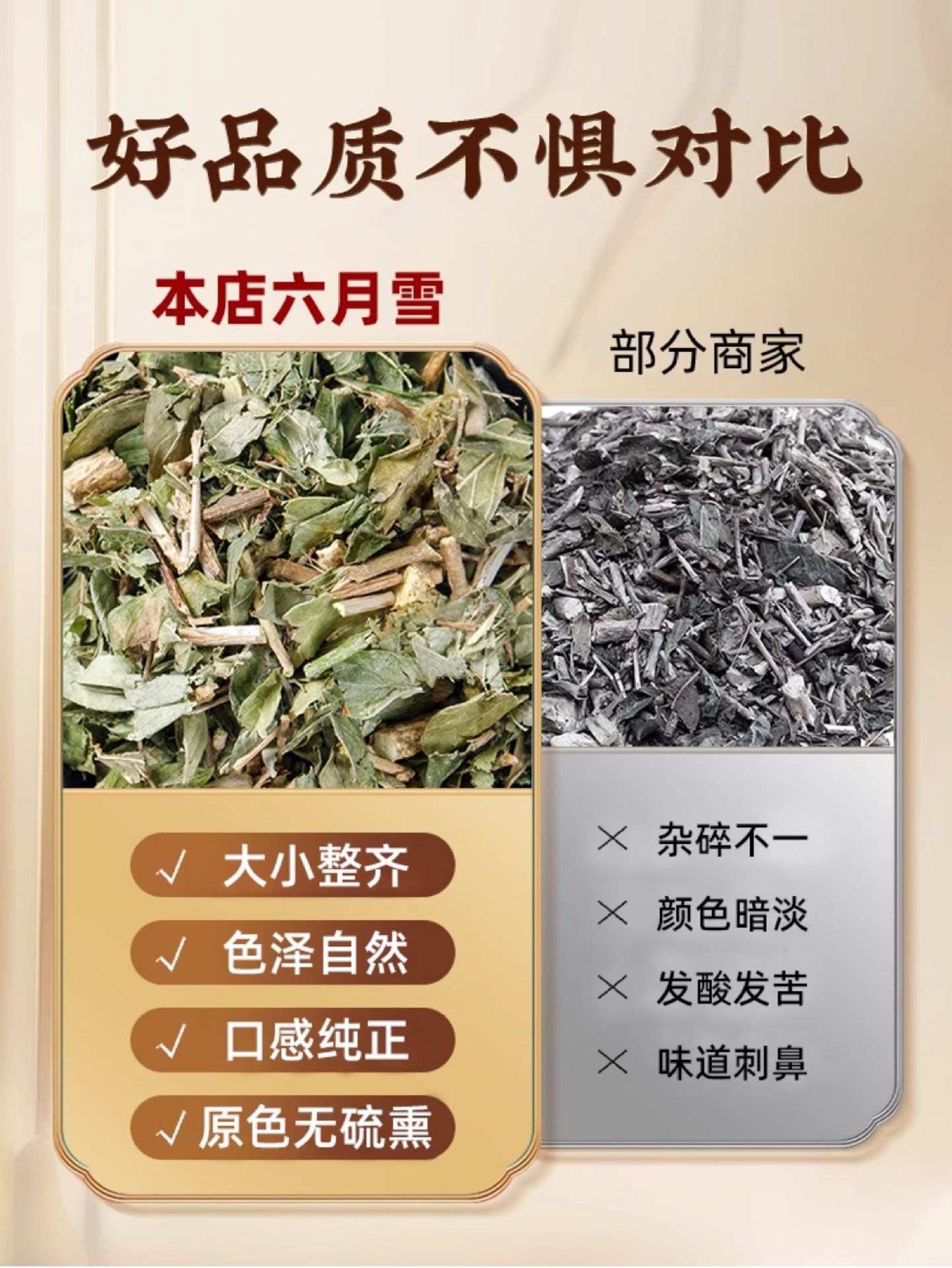 June Snow Herb Liu Yue Xue 500g x 2 Jars Dried Serissa Herb for Traditional Decoctions specifications