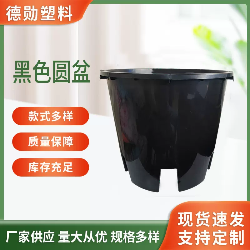 黑圆蓝莓盆园艺用品多肉圆盆大棚养殖多肉育苗盆塑料花盆现货批发