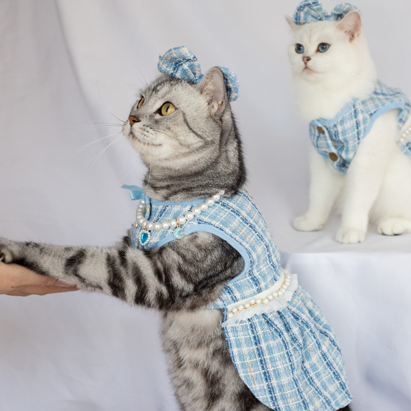 70g Weight Pet Clothing Type Of Pet Supplies 1 Piece Quantity Daily, Date Occasion Polyester Material Plaid, Cat, Bow Knot Pattern Winter, Summer, Autumn, Autumn&Winter Season Cute, Korean Style Style 1 Piece Winter Summer Autumn Cute Korean Style Polyester Plaid Cat Bow Knot Pet Clothing 2