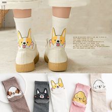 ���wŮʿ���m�޿ɐۿ�ͨ��С����Ů�m�ӄ���ֱ�����w�m