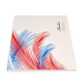 蔻丽丝染膏色板 毛板