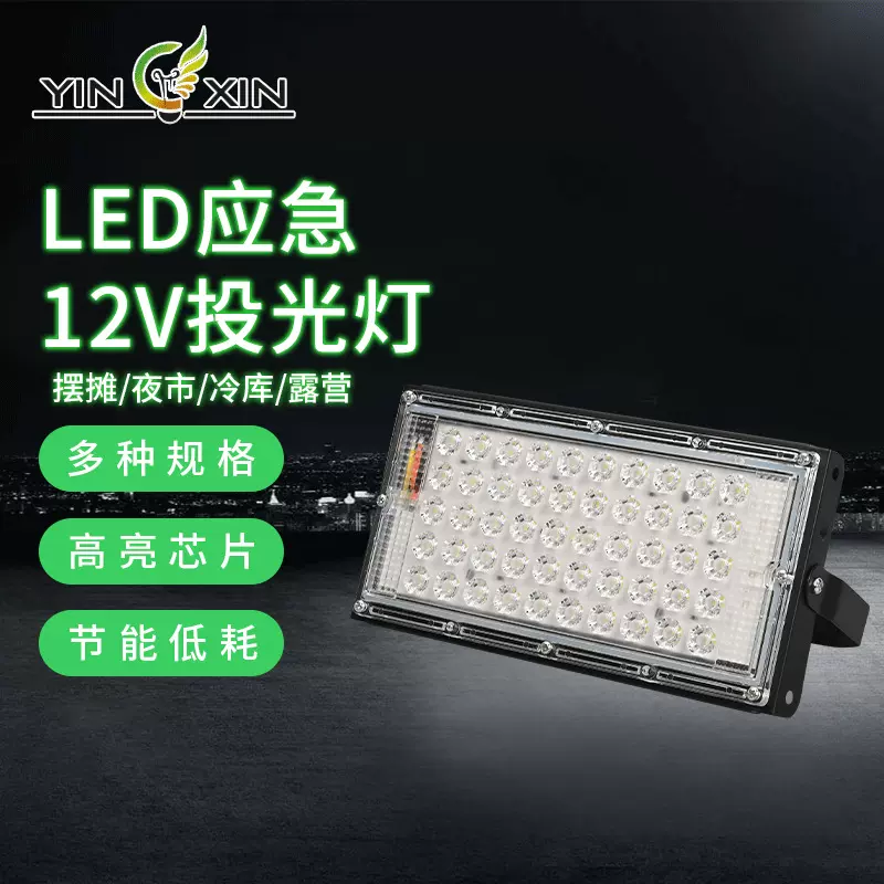 LED应急12V投光灯户外防水照明灯夜市摆摊冷库船舶露营LED投光灯