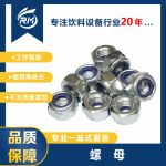 00000013387/00000164106 螺母 适用于SIDEL饮料设备