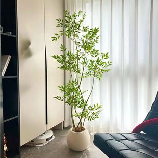 ����Gֲ�b����������҃����Դ��ͼҾ����޾Ƶ���ؔ[��