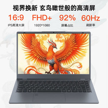 �Ϲ�P14�����ᱡ��ѧ���칫ѧϰ��Ϸ��i5-12450H/16G/512G/14Ӣ��
