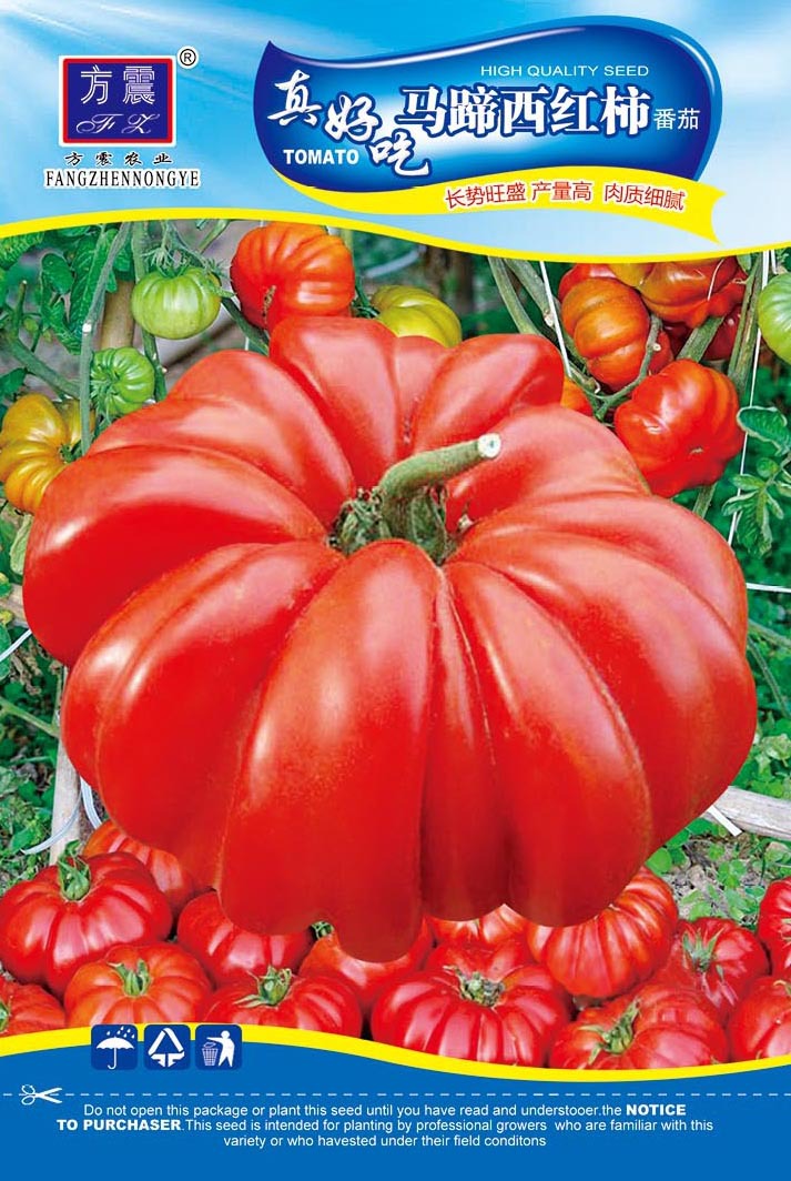马蹄番茄2