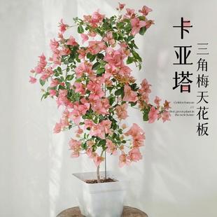 ����������÷���Ԏ������҃Ȼ���ֲ���̨�Ϙ��ش����ļ��_��