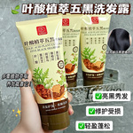 叶酸植萃五黑洗发水洗发露养发护发柔顺飘逸轻盈润养头发秀发乌黑