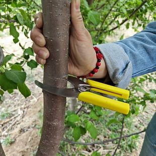 ���������h���h��������ј�Ƥ�е����h�h֦�h�Έ@ˇ�¿�