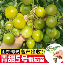 ��������5̖С���������ļ��߮a����С�G���ѷN�Ӽtǧ�����ᭇ