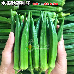 �S����N�ѾG�S����N�Ӽt����N�����̨���Դ��＾���N���r����