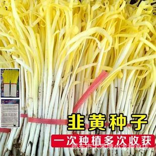 �ļ����S�N���S�²����͵͜�����߮a�r�Ҵ������Ծ²��ﶬ�߲���