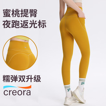 2026�o���ξ��������٤ѝŮ�������ڴ��٤���⴩�@�ݽ����Lѝ��