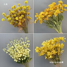 �Sɫ��Y���������Ļ�c���üٻ��Y���b��b�����ϻ�·��������