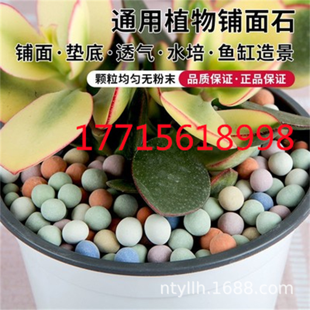 O1CN01lHmBGF2MHMvebWaai_!!2209