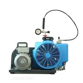 梅思安10181241 100TE三相电源高压呼吸空气压缩机提供气源