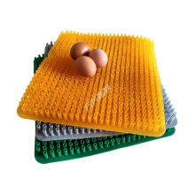 标准款蛋箱草垫塑料垫子鸡窝盒垫出口款产蛋箱草垫源头厂家