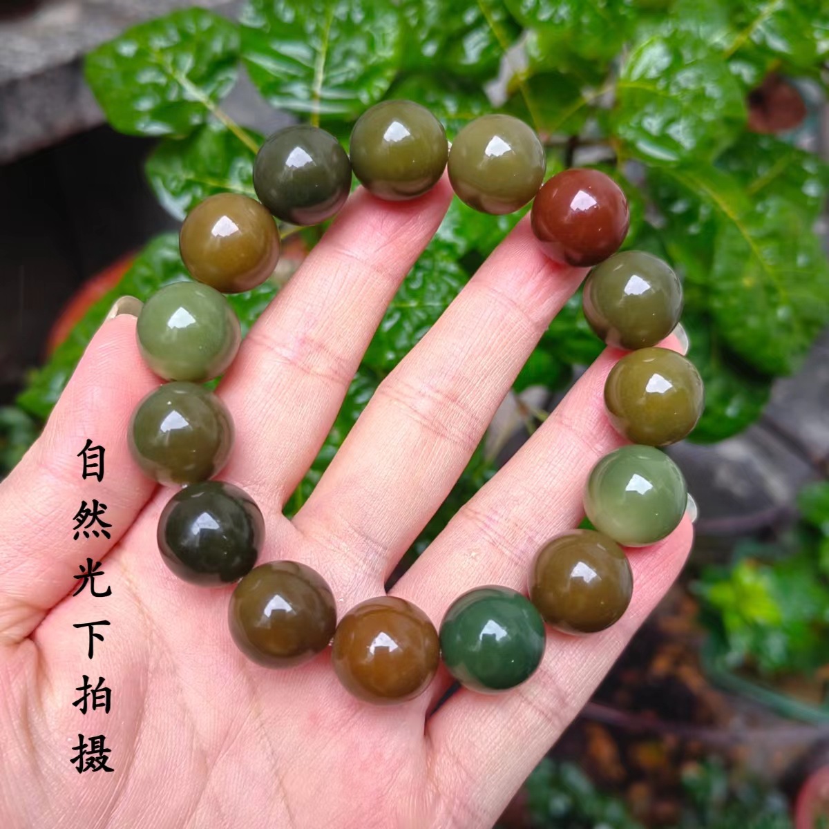 15mm 버마 매실 와인