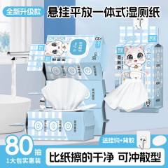 壁掛け式の濡れたトイレットペーパー80は家庭の実際の恵装の女性のウェットティッシュを引き出します。