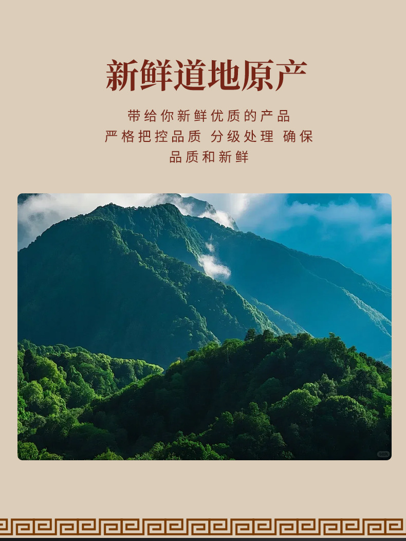 Huang Jing Powder 500g Premium Polygonatum Root Powder Freshly Milled Herbal Ingredient for Tea and Cooking quality and texture