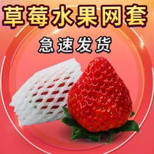 草莓网套专用水果网套防震包装珍珠棉橙子枇杷袋加厚泡沫保护网兜