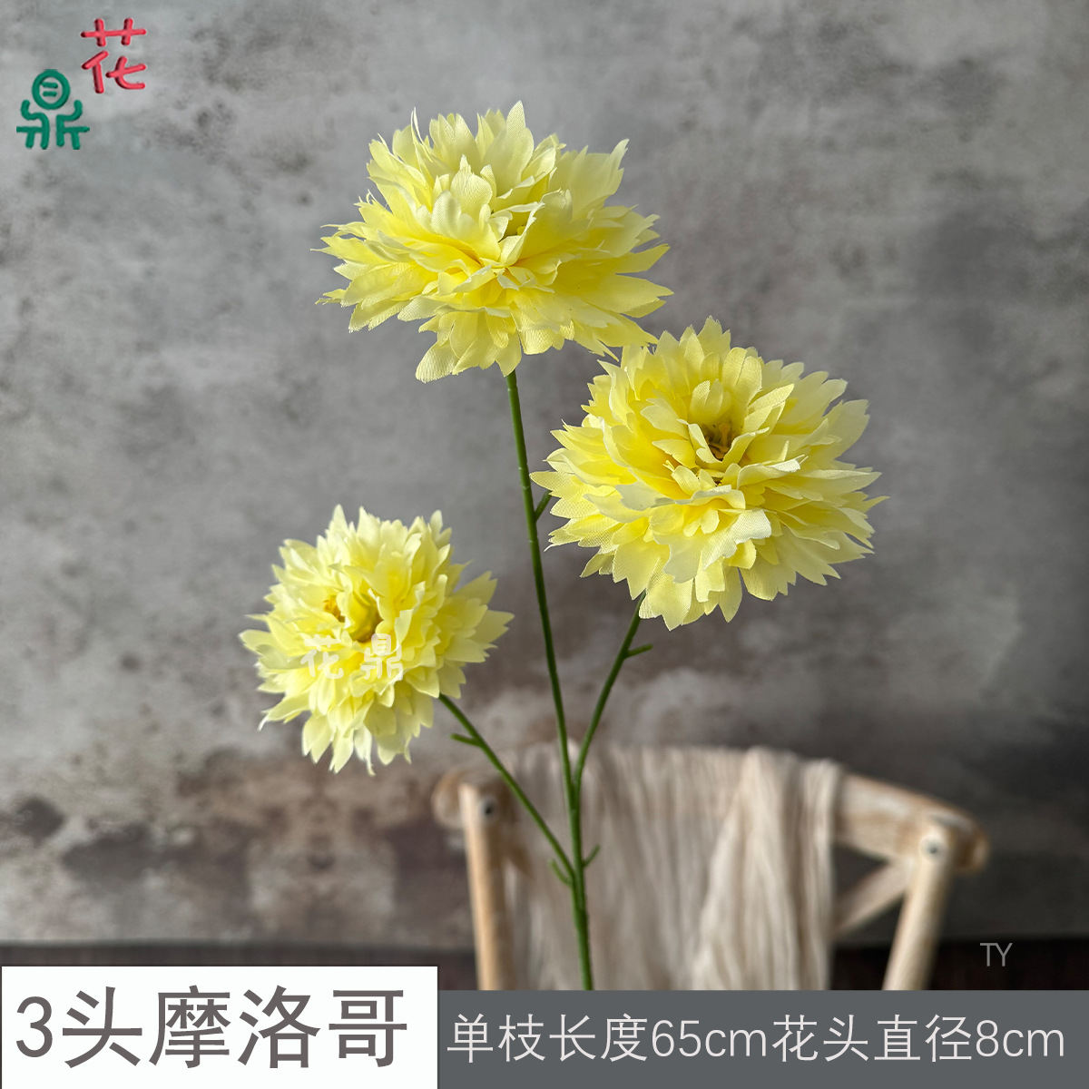 3 Màu Vàng TY Ma-rốc